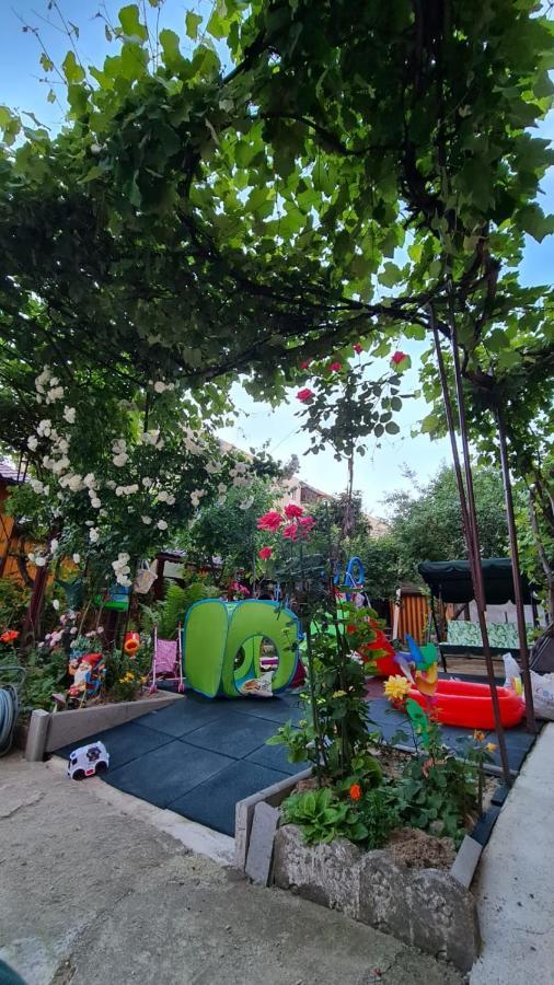 Garsoniera Cocheta Zona Coresi Mall Брашов Экстерьер фото